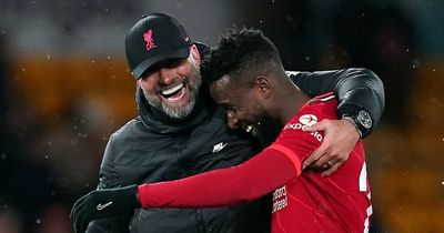 Divock Origi's status at Liverpool hailed as perfect example of Jurgen Klopp's brilliance