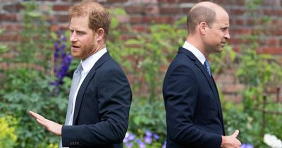 War is still raging between Prince William and Prince Harry, claims royal expert