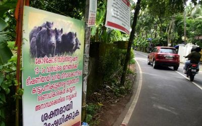 Decision to entrust culling to local bodies raises questions