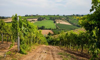 There’s more to Abruzzo than montepulciano: the best wines from eastern Italy