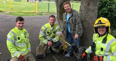 Firefighters rescued trapped dog after it barked up the wrong tree in South Shields park