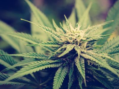 Tuatara Capital Shareholders Approve Merger With springbig