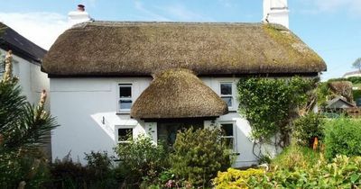 Thatched cottage just a stroll from one of Gower's best beaches could be your dream coastal home