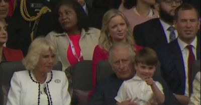 Fans catch sweet moment Prince William 'looks out' for Prince Louis during Jubilee