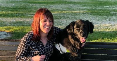Blind woman refused three taxis on Glasgow streets after drivers said no to guide dog