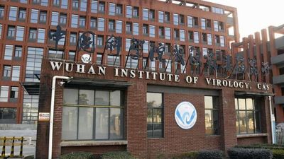 COVID-19 'Lab Leak' Origin Theory Merits Further Investigation, Says New WHO Report