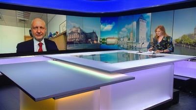 EU 'working very hard' to export grain from Ukraine amid food crisis, ambassador says