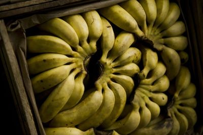 Czech shops find half tonne of cocaine in banana boxes