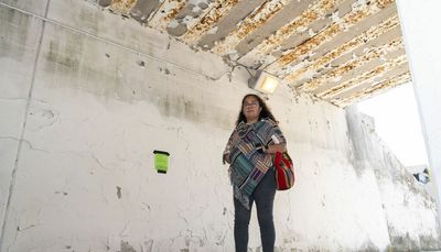 In Southwest Side viaducts, peeling paint contains toxic levels of lead. But is it a hazard?