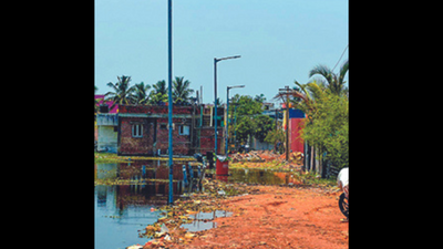 Chennai: Post TOI report, 248 encroachments identified in Puzhal, Korattur lakes