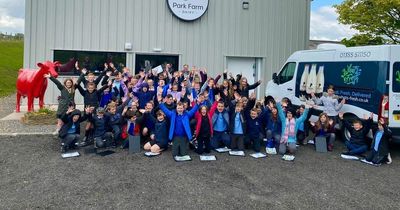 School kids swap classroom for countryside on Lanarkshire dairy farm visit