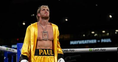 Boxing fan pays £50,000 to walk YouTube boxer Logan Paul to ring for next fight