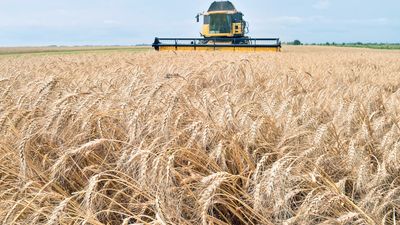 Turkey in efforts to create Black Sea corridor for Ukrainian grain