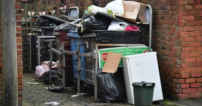 It was infested with rats and a magnet for flytippers - now this Manchester alleyway has been transformed into a beautiful sanctuary