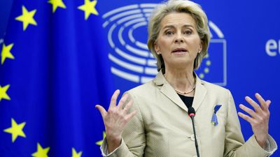 Von der Leyen meets Zelensky to discuss Ukraine EU membership bid