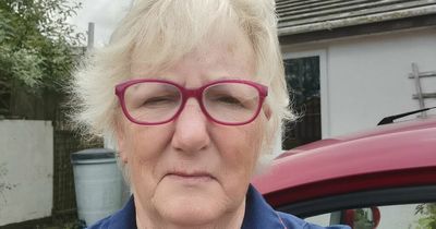 'Three quarters of my salary is going on fuel': The carer who says she can't afford to work
