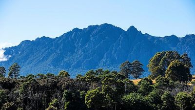 Woman killed and man seriously injured by falling tree in Tasmania