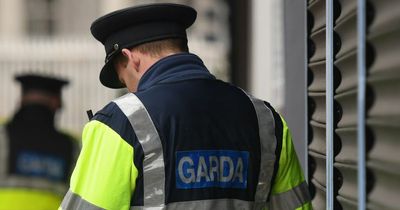 Illegal workers interviewed and documents seized by officers during Meath search