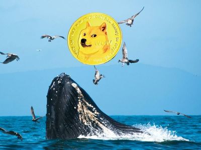 Here's How Much This Top BNB Whale Just Paid To Buy 400M Dogecoin