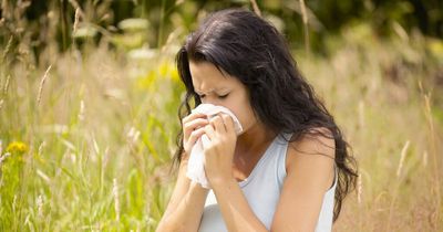 'Particularly potent' pollen causing worsen hay fever symptoms, Met Office warns