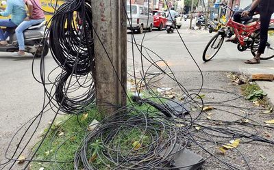 CESC begins drive to sever cables tied to electric poles