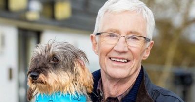 Paul O'Grady's dogs - forced return, tragic deaths and devastating diagnosis