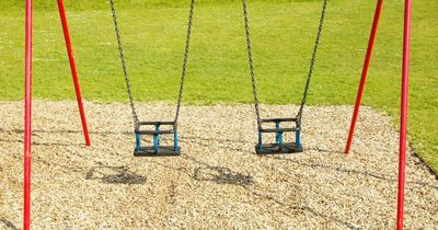 TikTok stunt warning issued to parents after 18 children trapped on swings in two months