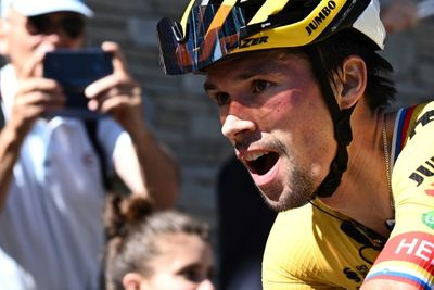 Roglic soars to Dauphine lead after Alpine slog