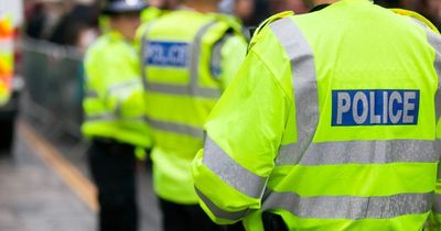 Two men in van attempt to abduct baby from pushchair