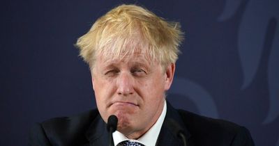 'Johnson's selling point is that not all Tory MPs think he's an incompetent cheat'