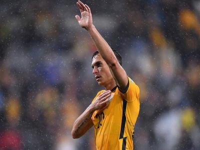 Hurt Roos doing everything to play: Ryan