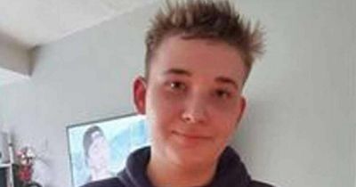 Devastated family say 'cheeky' teen stabbed to death protecting his mum is 'our hero'