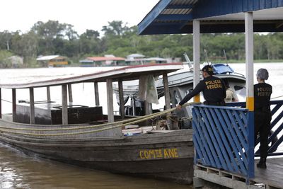 Brazil police skeptical of 'apparently human' remains found in hunt for reporter