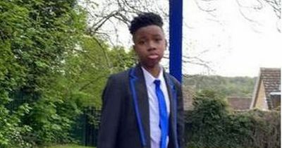 Schoolboy, 12, in uniform who went missing five days ago has been found