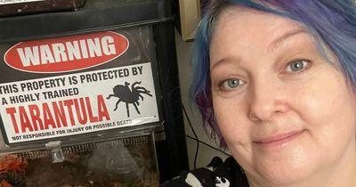 Mum cures her arachnophobia during the lockdown and now lives with 22 tarantulas