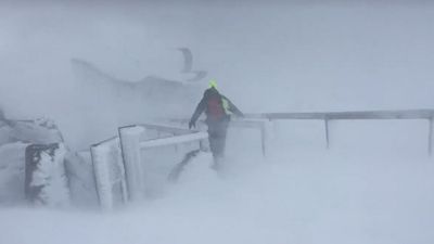 Hikers rescued on kunanyi/Mt Wellington, woman killed by falling tree as wild weather lashes state