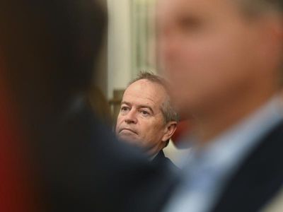 NDIS fraudsters 'despicable': Shorten