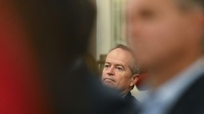 NDIS fraudsters ‘despicable’: Shorten