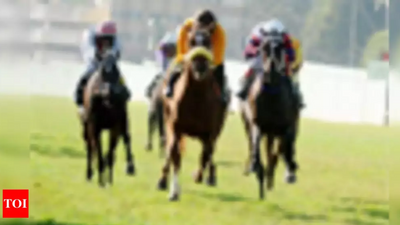 Bengaluru: A Star Is Born for Krishnaraja Wadiyar Cup