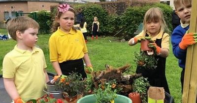 Green-fingered Lanarkshire school reaches final of top gardening competition