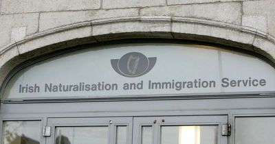 South American crime gang believed to be behind illegal immigrants found working at Meath business