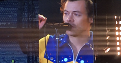 Harry Styles fan plunges from balcony into crowd below during Ibrox gig