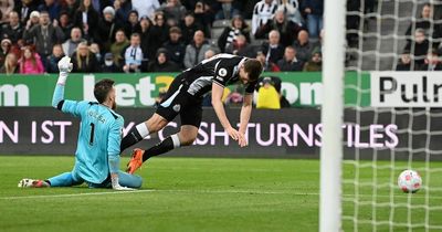 Criticism of Chris Wood's goals tally misses the bigger picture for Newcastle United