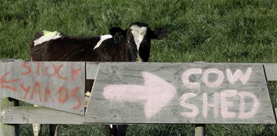 Why New Zealand is right to call out Canada on its dairy industry