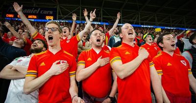 The story of how Wales created the best fan experience in sport as pride, passion and culture shine through