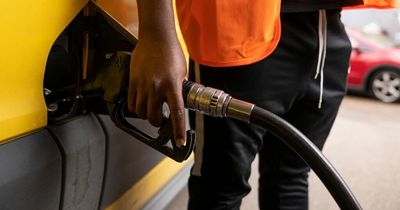 Competition watchdog called in to urgently review fuel market over 'predatory pricing'