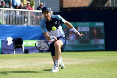 Injury worries for Andy Murray as Scot defeated by Matteo Berrettini in Boss Open final