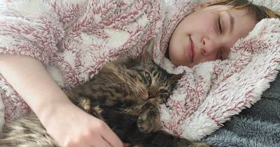 Therapy cat left with broken jaw and feeding tube after 'brutal attack' in Co Down