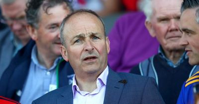 Micheal Martin bizarrely tweets out nature photos while watching his son playing for Cork against Limerick