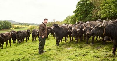The Buffalo Farm secures nationwide deal with Aldi
